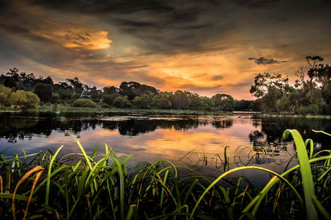 Lake McIntyre - Accommodation Sunshine Coast 0