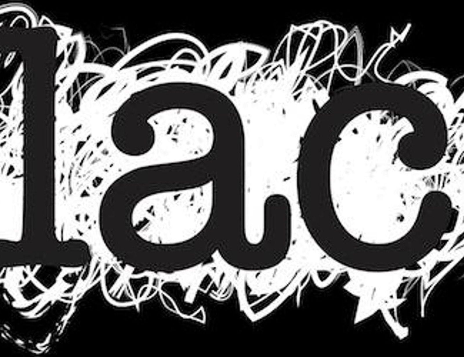Lennox Arts Collective Logo and Images