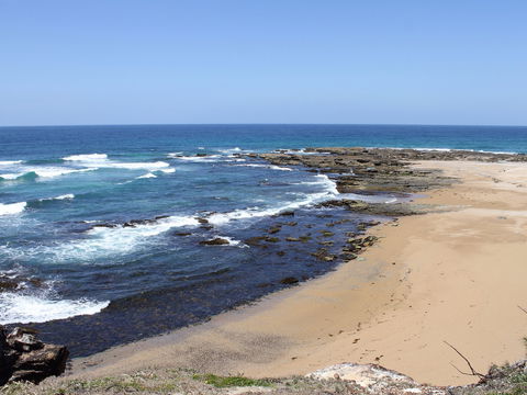Little Shelley - Accommodation Port Macquarie 0