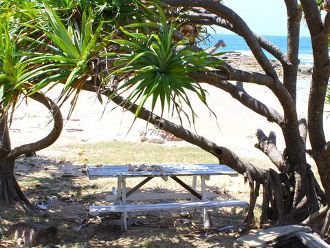Little Shelley - Accommodation Port Macquarie 2