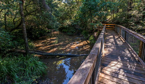 Ms Kellys Walking Track - Accommodation Ballina 0