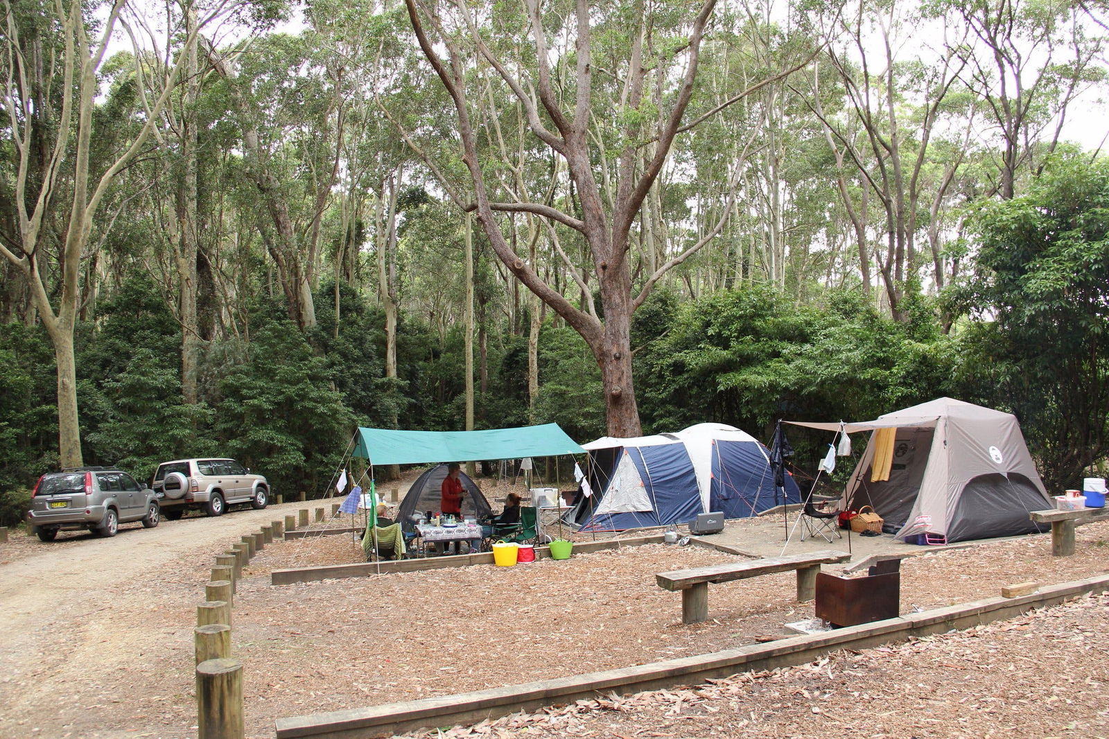 Murramarang National Park Logo and Images