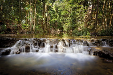 Orara East State Forest - Accommodation Port Hedland 2