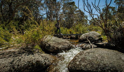 Pallaibo Walking Track - Accommodation NT 0