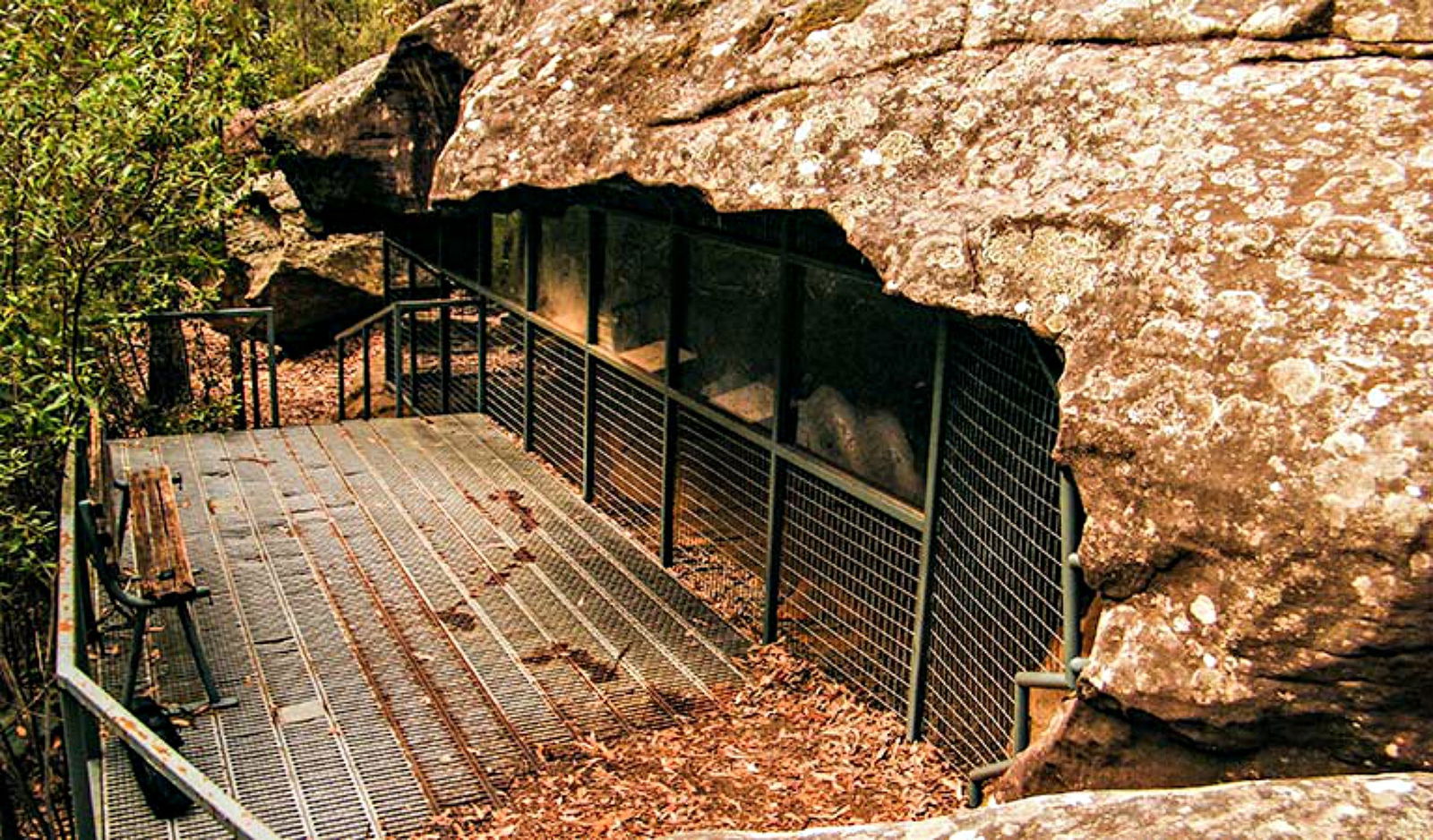 Red Hands Cave Walking Track - Blue Mountains National Park Logo and Images