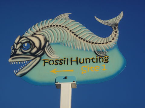 Richmond Fossil Hunting Sites - VIC Tourism 1
