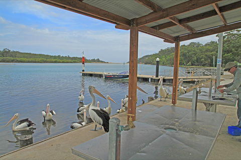 Sussex Inlet - Whitsundays Tourism 0