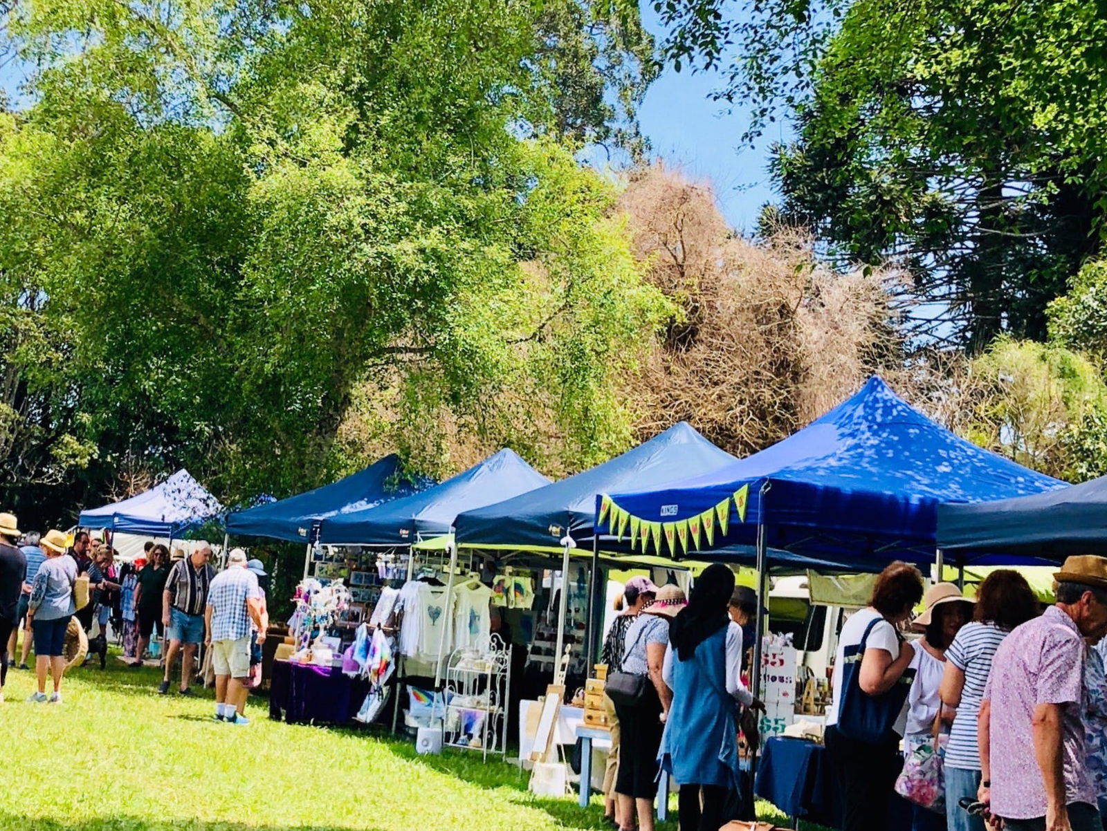 Tamborine Mountain State School Markets Logo and Images
