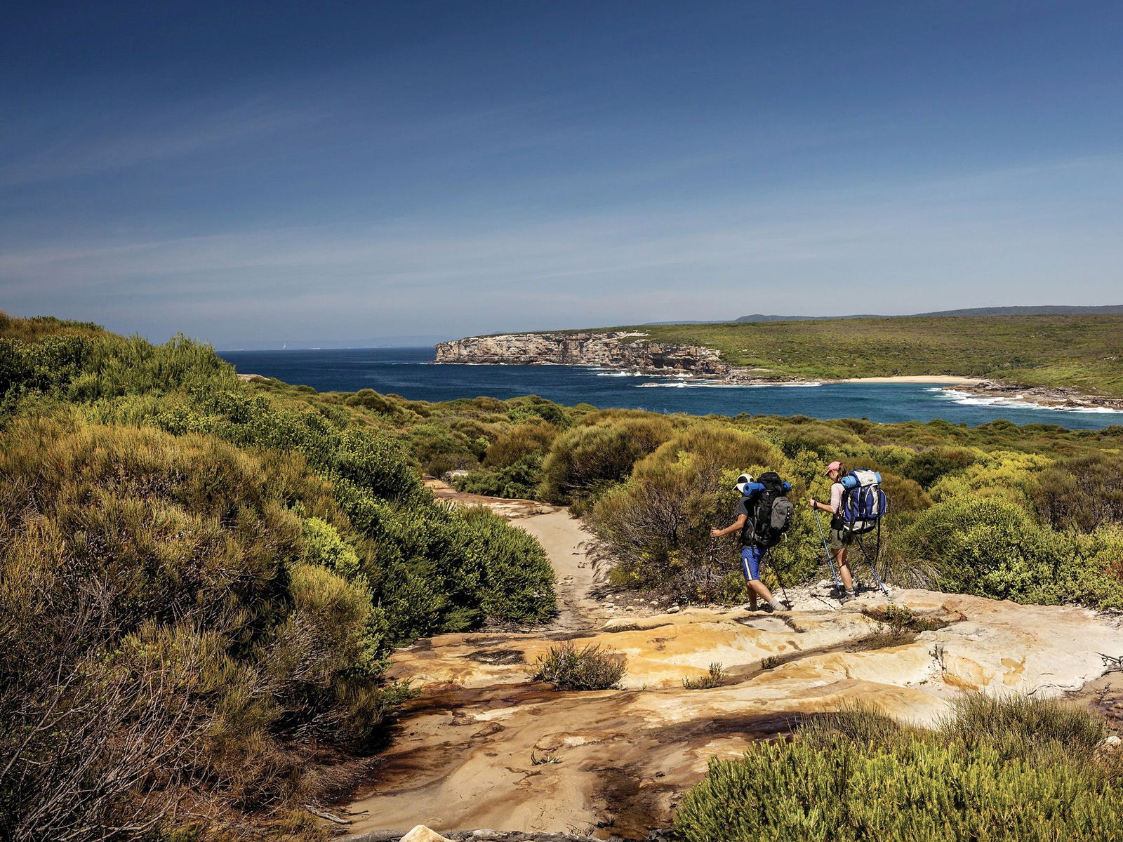 The Coast track Logo and Images