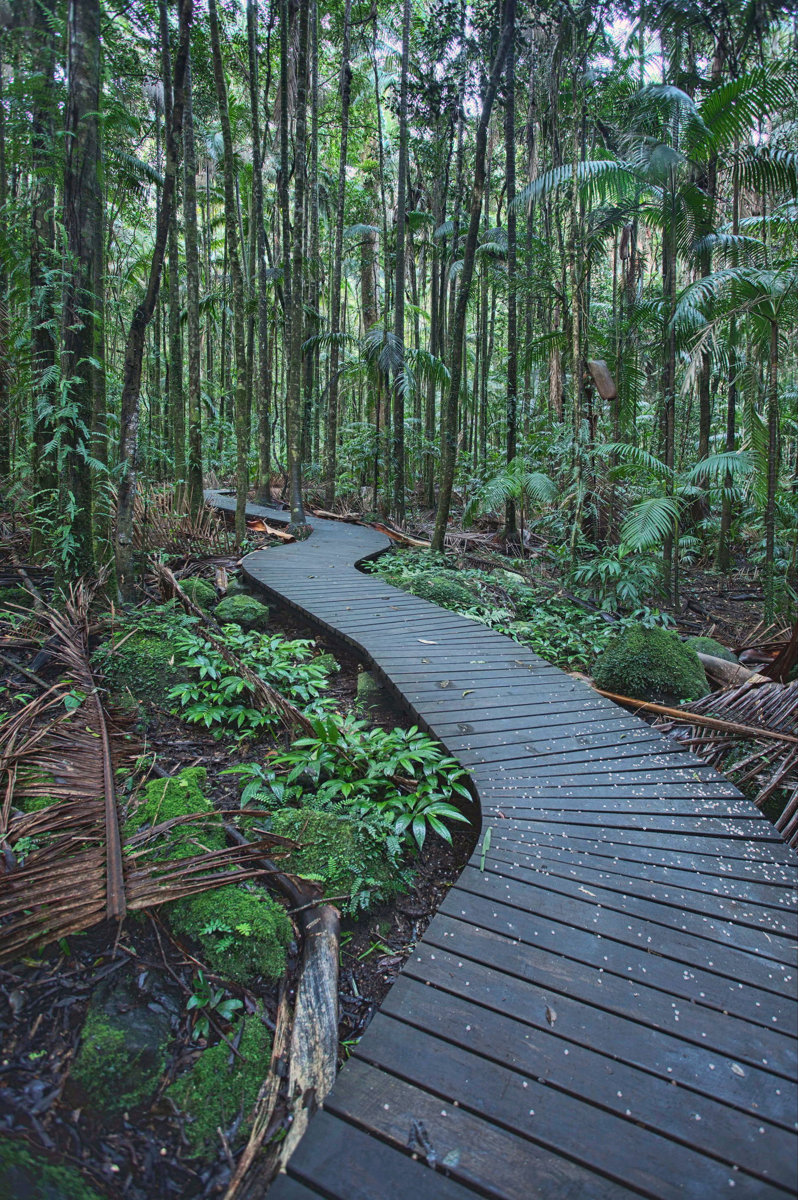 Keerrong NSW Northern Rivers Accommodation