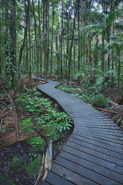 The Channon, Protesters Falls, Nimbin And Mount Nardi - Sunshine Coast Guide 0