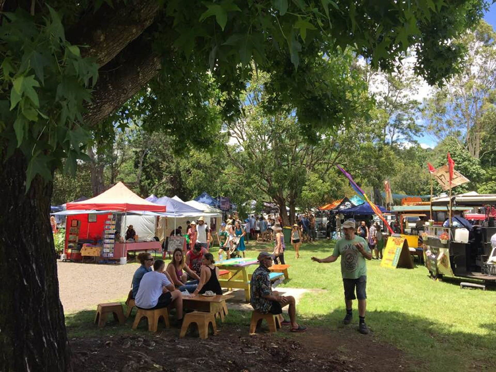 The Channon, Protesters Falls, Nimbin and Mount Nardi Logo and Images