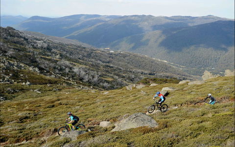 Thredbo Mountain Biking - Northern Rivers Accommodation 0