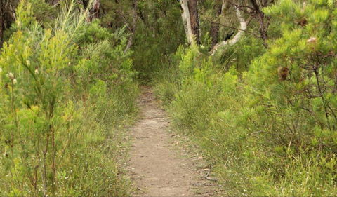 Three Views Walking Track - Accommodation Batemans Bay 0