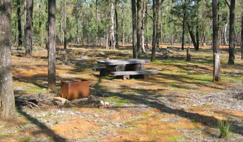 Two Dams Picnic Area - Surfers Gold Coast 0