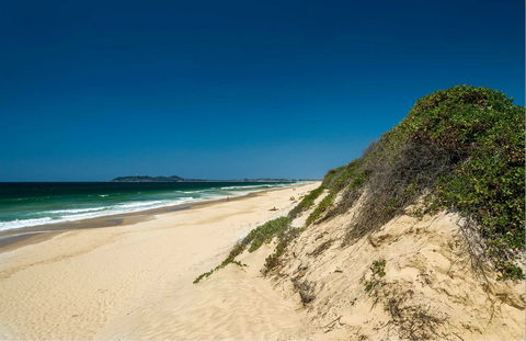 Tyagarah Nature Reserve Picnic Area - Accommodation Port Macquarie 0