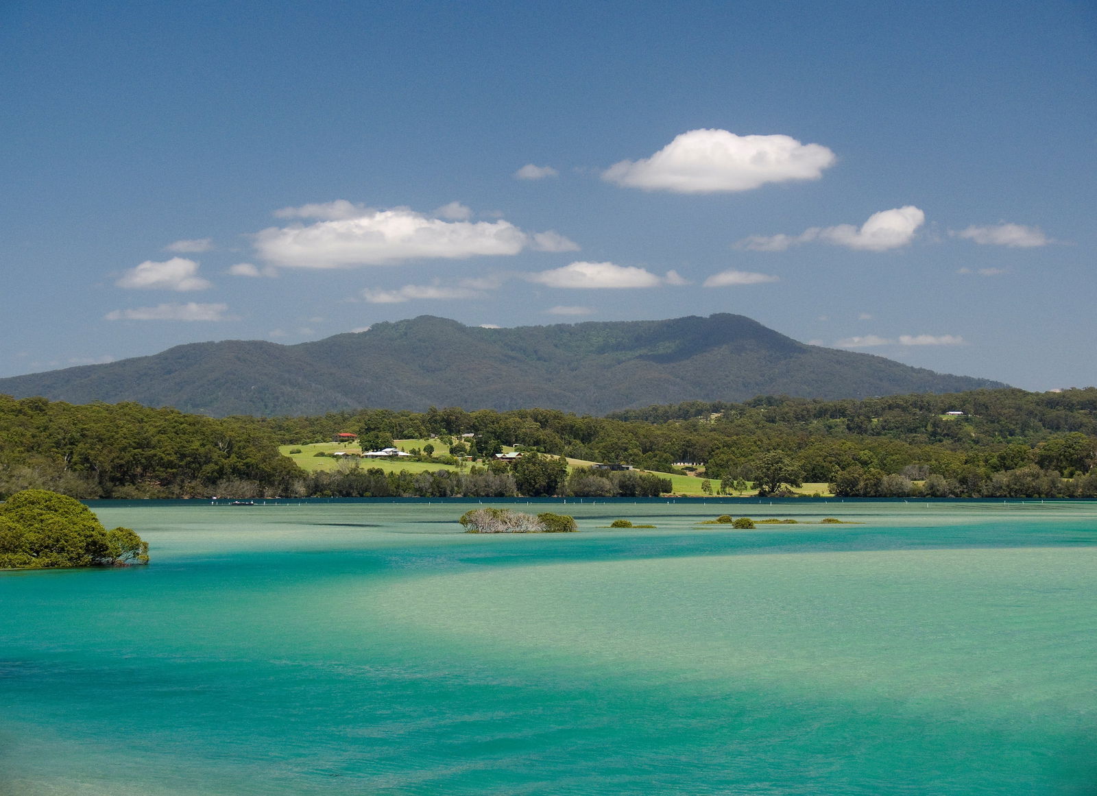 Wagonga Picnic Area Logo and Images
