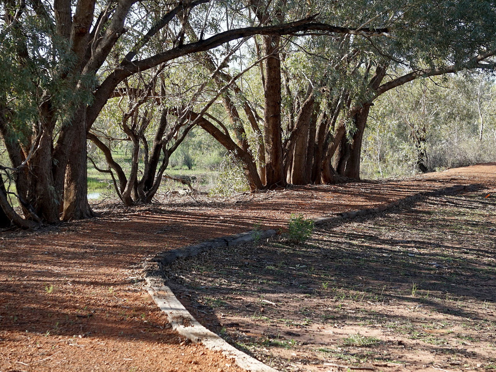 Louth NSW Hervey Bay Accommodation
