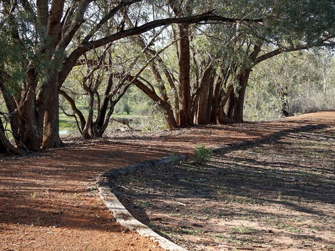 Warrego Floodplain Walking Track - Attractions Perth 0