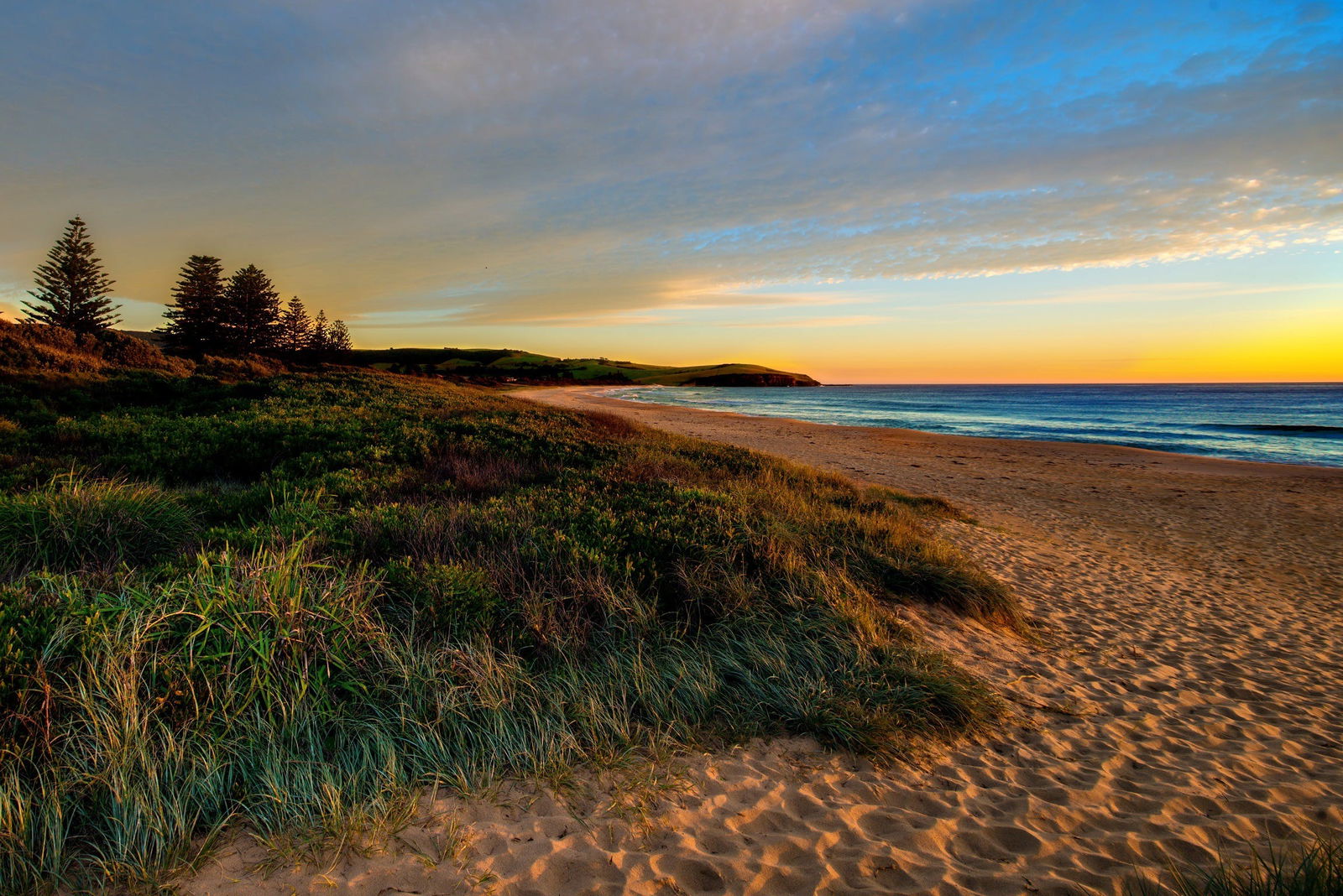 Werri Beach and Point Logo and Images