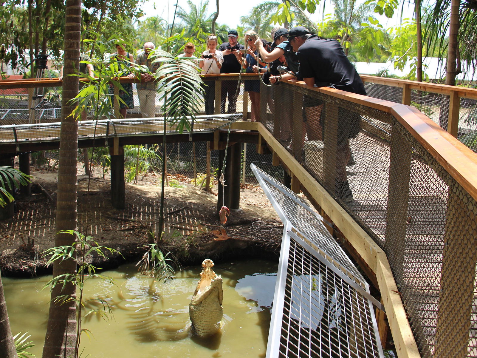 Wildlife Habitat Logo and Images