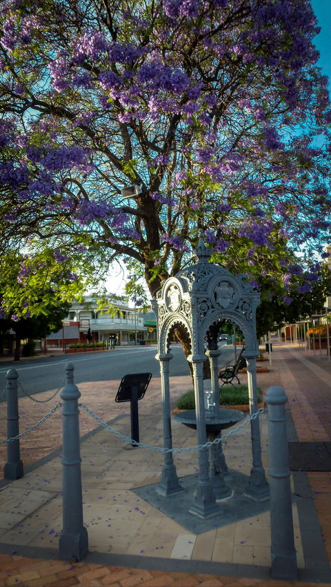 Witcombe Fountain - Accommodation Port Hedland 0