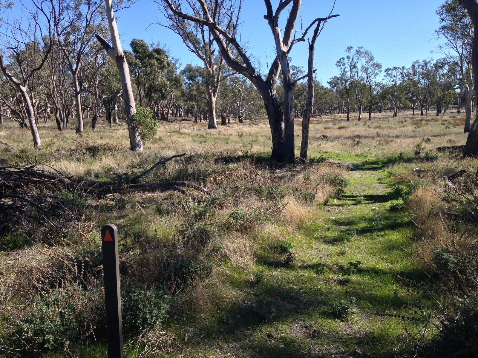 Wyperfeld National Park Logo and Images