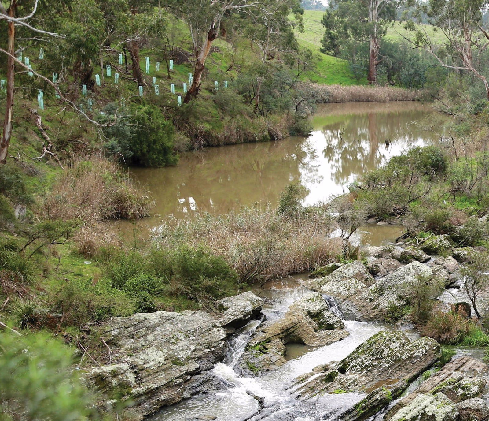 Yarrambat Park Logo and Images