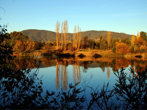 Allan's Flat Reserve - Accommodation Sunshine Coast 0