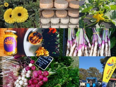 Ballina Farmers Market - Yamba Accommodation 1
