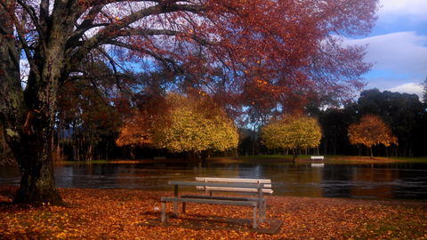 Bells Parade Reserve - Surfers Gold Coast 0