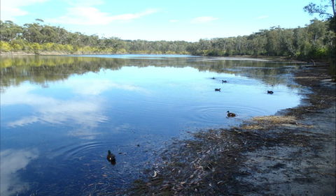Berrara Creek - Mackay Tourism 0