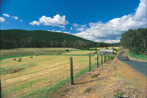Blackwood River Tourist Drive - Hotel Accommodation 0
