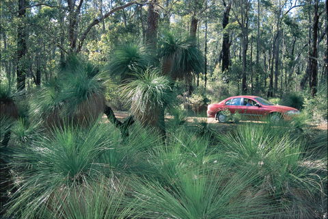 Blackwood River Tourist Drive - Hotel Accommodation 2