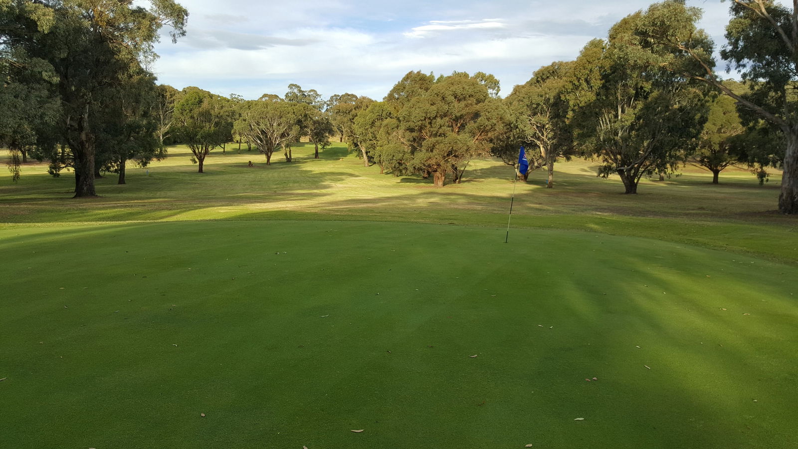 Blayney Golf Club Logo and Images