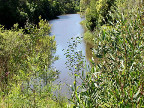 Blue Gum Hills Regional Park - Mackay Tourism 1