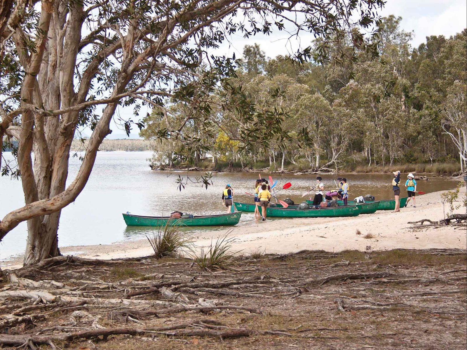 Boreen Point Logo and Images