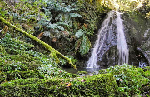 Cascades Walking Track - Accommodation QLD 0