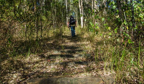 Cliff Face Track - Accommodation Brisbane 0