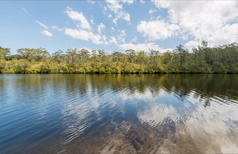 Cockatoo Picnic Area - Accommodation Ballina 0