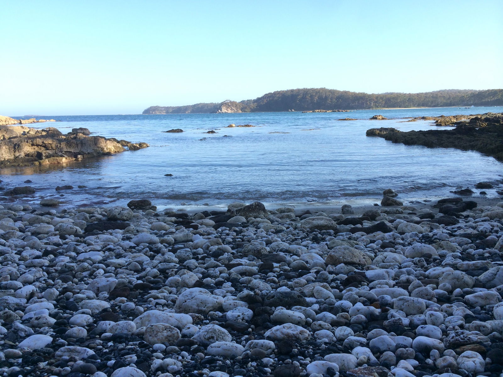 Denhams Beach Logo and Images