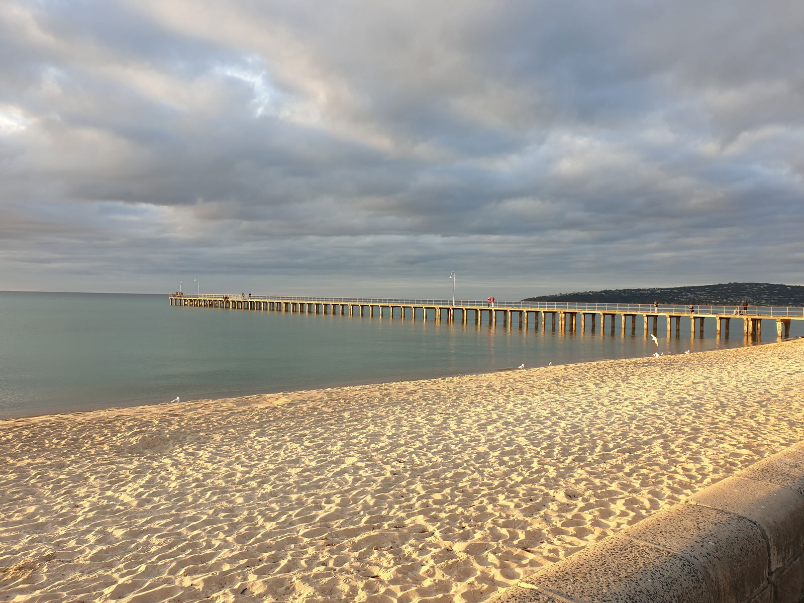 Dromana Beach Logo and Images