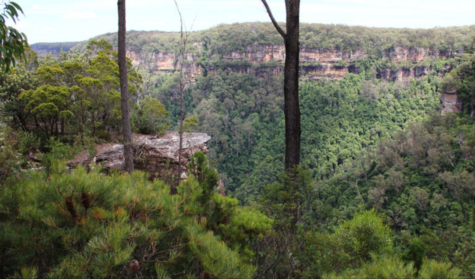 East Rim wildflower walking track Logo and Images