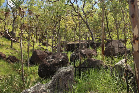 Emerald Creek, Dinden West Forest Reserve - Holiday Jervis Bay 2