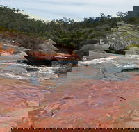 FR Berry Reserve - Sunshine Coast Guide