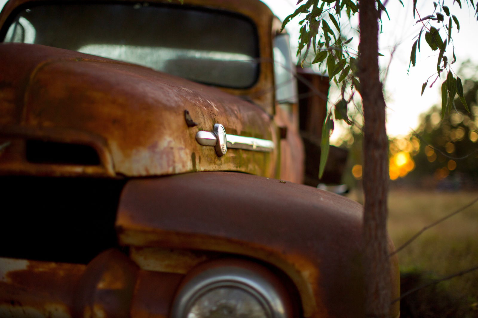 Gladstone into the Hinterland Logo and Images