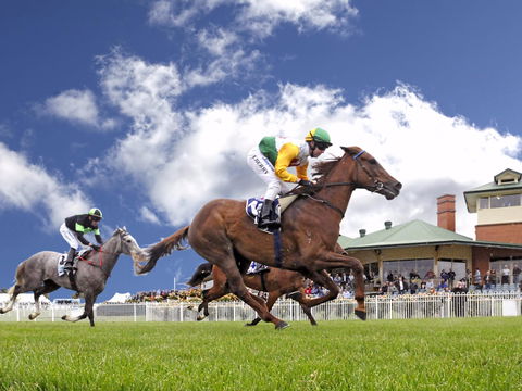 Goulburn And District Racing Club - Accommodation Ballina 0