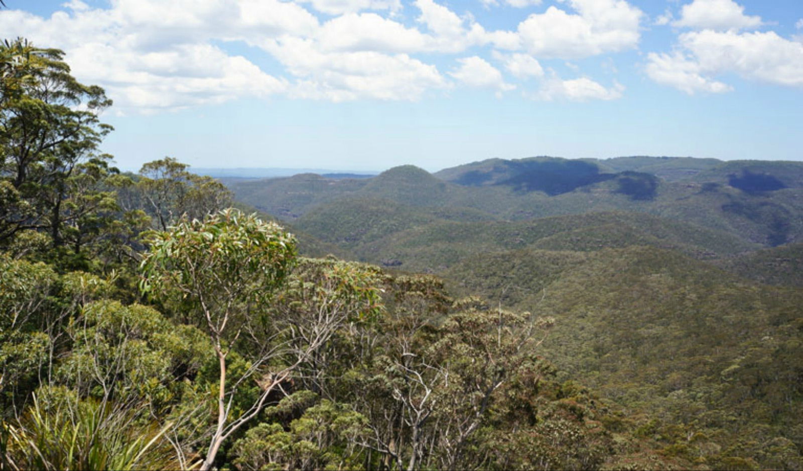 Greater Blue Mountains drive Logo and Images