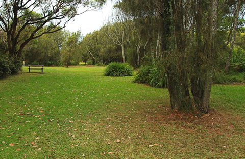 Hammerhead Point Picnic Area - Accommodation Batemans Bay 0