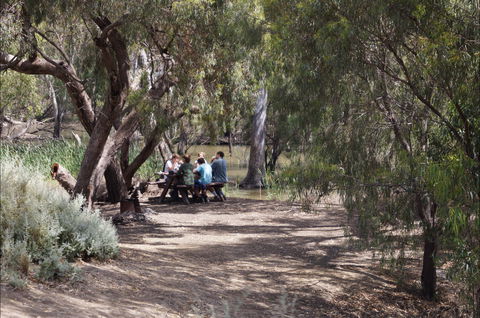 Hay Weir - Accommodation Tasmania 2